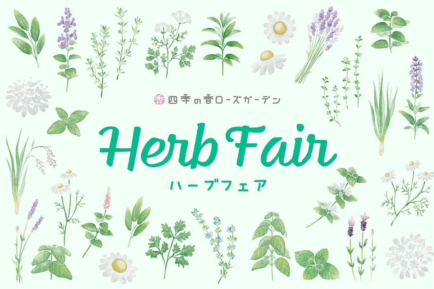 練馬区立 四季の香ローズガーデン ハーブフェア