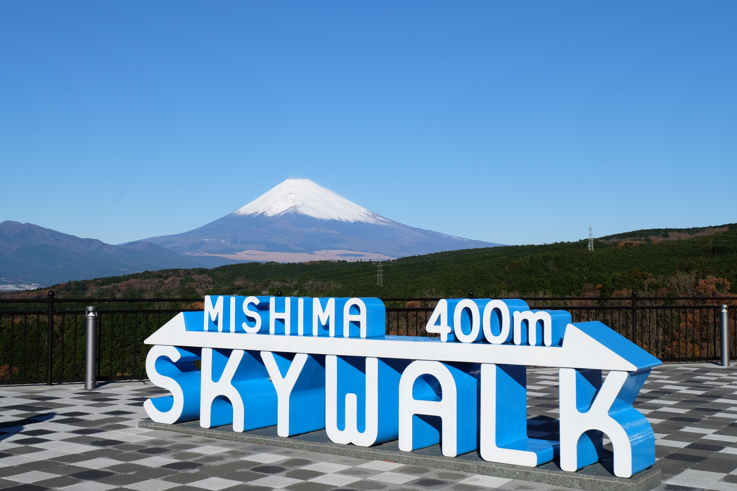 三島スカイウォーク あじさい祭 2025
