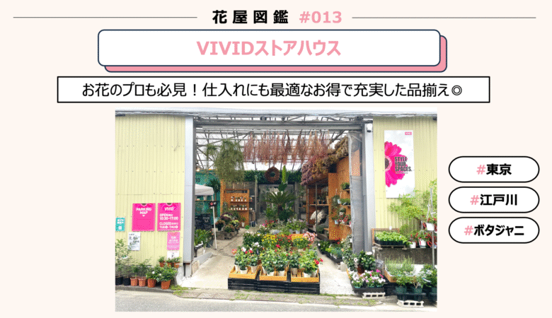【花屋図鑑#013】VIVIDストアハウス@東京/江戸川区/松島