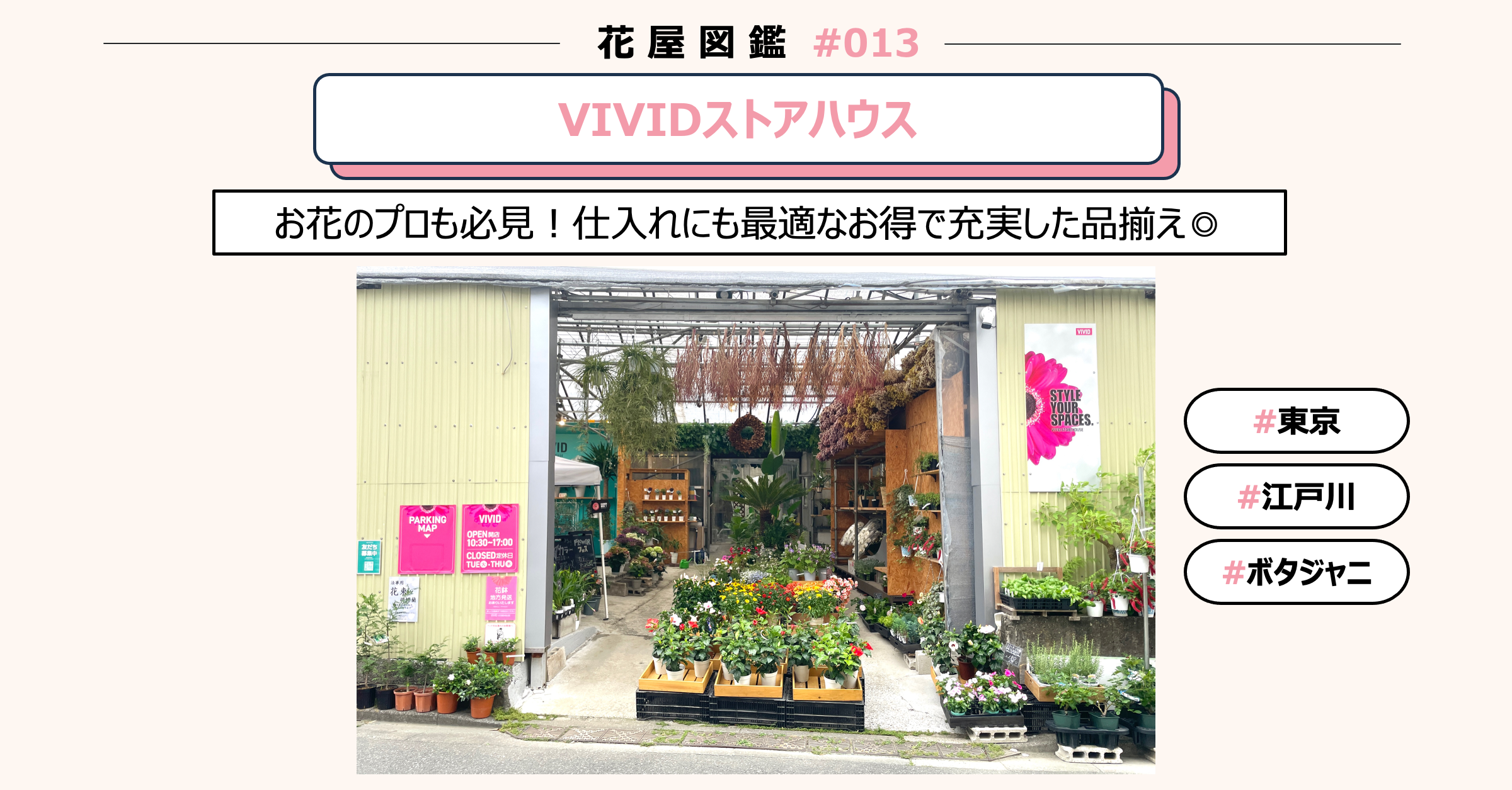 花屋図鑑#013】VIVIDストアハウス@東京/江戸川区/松島 - ボタジャニ