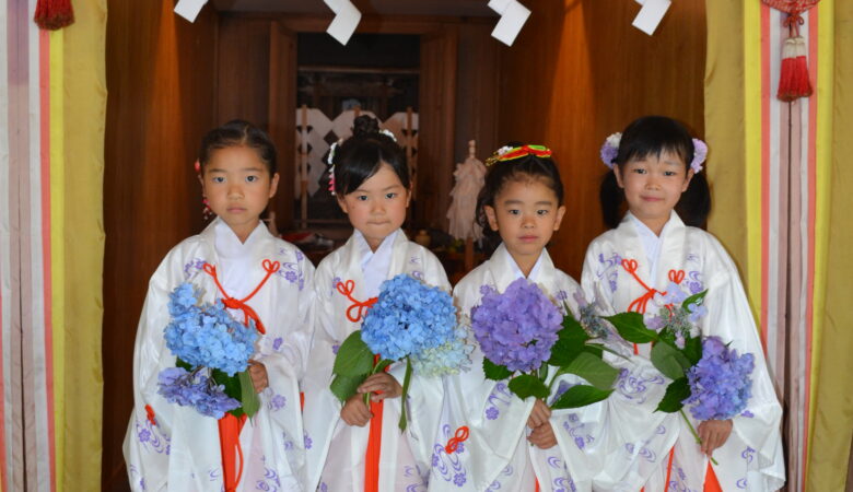 2025 Hydrangea Festival, Taihei Shrine, Mashiko Town, Tochigi Prefecture