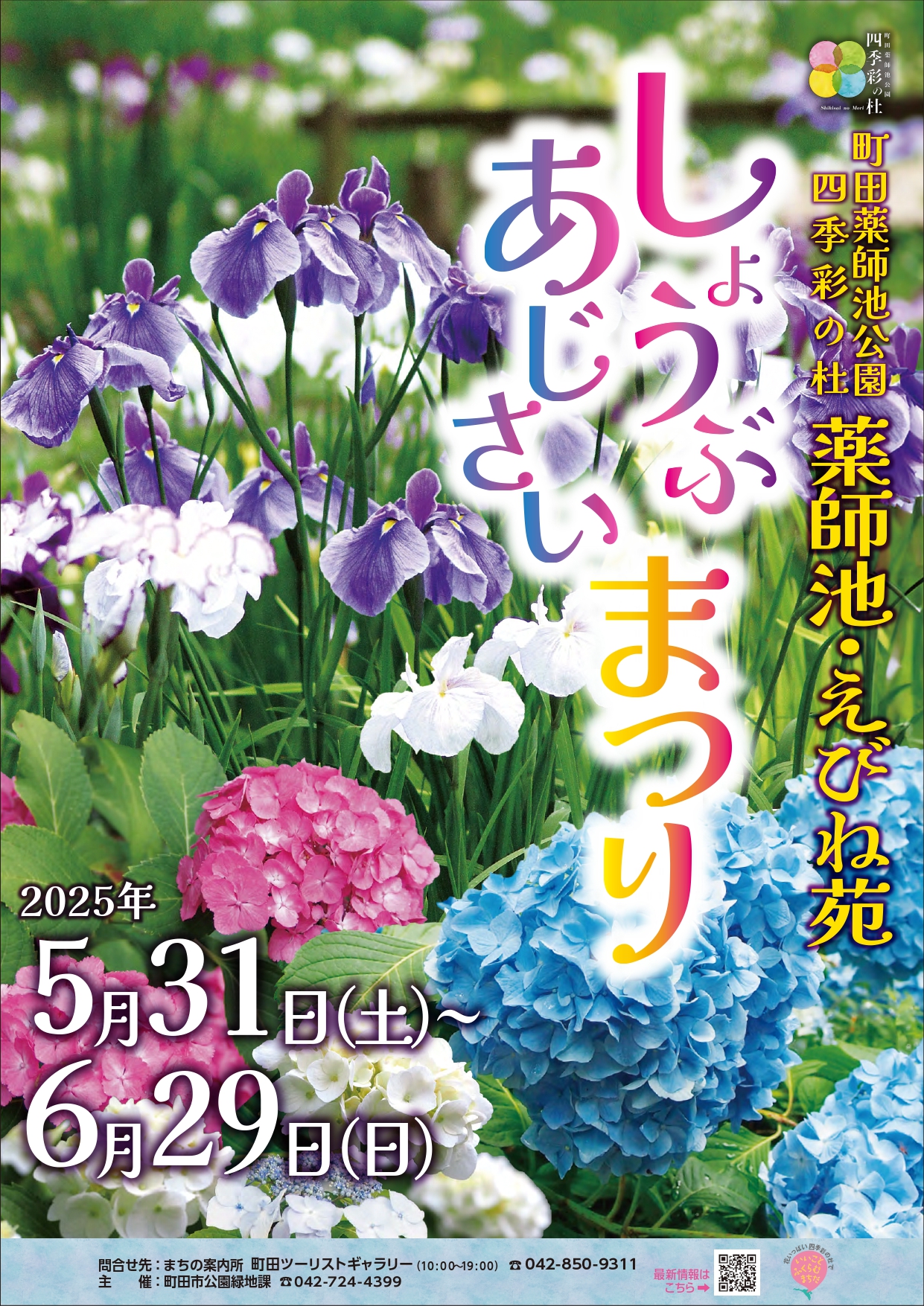 町田薬師池公園四季彩の杜 しょうぶ・あじさいまつり